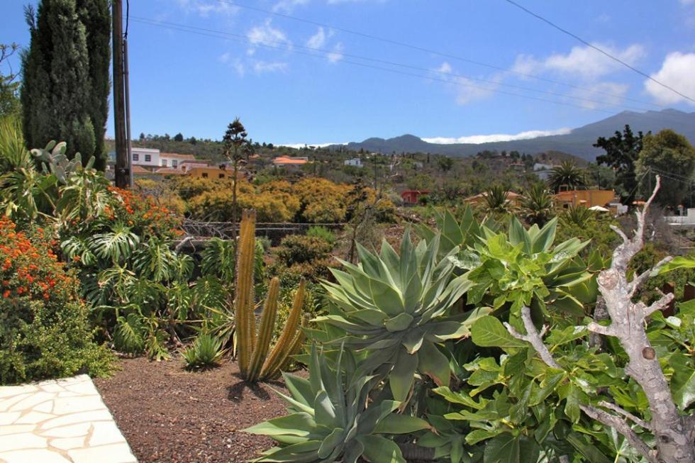 Jardin De Aridane Hotel El Paso Kültér fotó