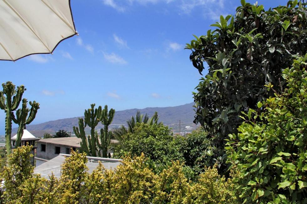 Jardin De Aridane Hotel El Paso Kültér fotó
